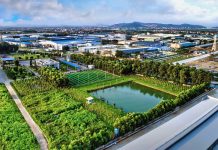 Khung lý luận về kinh tế xanh