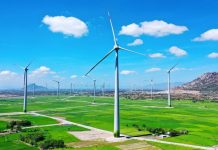 Thị trường trái phiếu xanh tại Việt Nam: Thực trạng và triển vọng phát triển