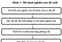 Nghiên cứu về lãnh đạo và quản lý hiệu suất tổ chức