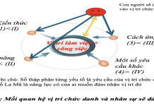 Quản lý vị trí làm việc – phương thức để lựa chọn