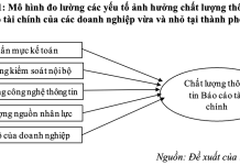 Nghiên cứu các nhân tố ảnh hưởng chất lượng thông tin trên báo cáo tài chính của doanh nghiệp vừa và nhỏ tại thành phố Hải Phòng