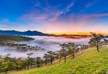 Thời cơ và thách thức đặt ra trong phát triển khu vực Tây Nguyên sau khi sáp nhập cấp tỉnh