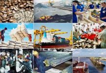 Vận dụng lý luận về tư bản kinh doanh hàng hóa và lợi nhuận thương nghiệp của C. Mác trong phát triển kinh tế thị trường định hướng xã hội chủ nghĩa ở Việt Nam hiện nay