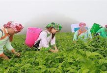 Phát triển kinh tế – xã hội và giảm nghèo bền vững tại các xã nghèo tỉnh Lào Cai: thực trạng và giải pháp