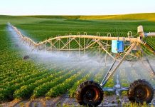 Thể chế tạo động lực trong mô hình tăng trưởng xanh và số: dạng hàm sản xuất mở rộng theo tư duy Mác-xít trong kỷ nguyên số