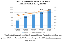 Giải pháp tăng cường thu hút đầu tư trực tiếp nước ngoài của TP. Hồ Chí Minh