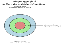 Phát triển nguồn nhân lực lưu trữ cấp tỉnh đáp ứng yêu cầu chuyển đổi số