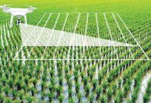 Vai trò của Nhà nước đối với chuyển đổi số ngành Nông nghiệp ở Việt Nam