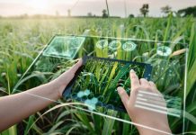 Chuyển đổi số thúc đẩy phát triển nông nghiệp bền vững tại Việt Nam hiện nay