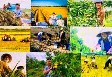 Một số luận điểm của chủ nghĩa Mác – Lênin về thực hiện chính sách an sinh xã hội đối với nông dân