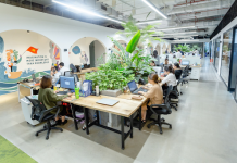 Một số tiêu chí xây dựng văn phòng xanh tại các cơ quan, tổ chức