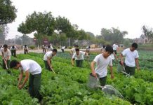 Vận dụng tư tưởng Hồ Chí Minh về công tác hậu cần quân đội trong đào tạo sĩ quan cấp phân đội tại Học viện Hậu cần