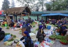 Phát triển kinh tế bền vững vùng dân tộc thiểu số: những cơ hội và thách thức