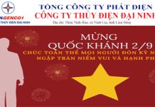 Công ty Thủy điện Đại Ninh