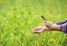 Một số giải pháp thúc đẩy ứng dụng công nghệ số trong phát triển nông nghiệp ở Việt Nam hiện nay