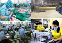 Phát triển kinh tế tư nhân trong bối cảnh cải cách hành chính ở Việt Nam hiện nay