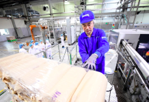 Giải pháp phát triển mạnh mẽ kinh tế tư nhân ở Việt Nam