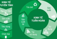 Vai trò của Nhà nước đối với phát triển kinh tế tuần hoàn ở Việt Nam hiện nay