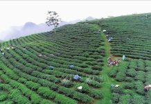 Vận dụng tư tưởng Hồ Chí Minh về phát triển kinh tế trong chiến lược phát triển bền vững vùng trung du và miền núi Bắc Bộ