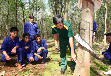 Yêu cầu kết hợp phát triển kinh tế với quốc phòng ở Việt Nam trong bối cảnh mới hiện nay