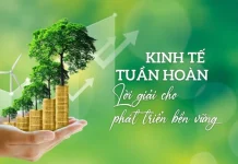 Chính sách phát triển kinh tế tuần hoàn hướng tới mục tiêu bền vững ở Việt Nam