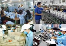 Giải pháp thúc đẩy liên kết phát triển vùng kinh tế và chuyển dịch khu vực kinh tế tư nhân ở Việt Nam