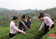 Vai trò của kết hợp kinh tế – quốc phòng trong giảm nghèo bền vững ở vùng đồng bào dân tộc thiểu số tỉnh Sơn La