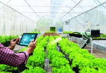 Thực trạng chuyển đổi số với phát triển lực lượng sản xuất mới trong nông nghiệp ở thành phố Hải Phòng