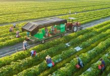 Phát triển kinh tế tuần hoàn của một số quốc gia trên thế giới và kinh nghiệm cho Việt Nam