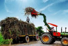 Nâng cao năng lực cạnh tranh của ngành Mía đường Việt Nam trong giai đoạn hiện nay