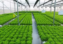 Kinh nghiệm về phát triển nông nghiệp sinh thái của một số nước trên thế giới và giá trị tham khảo cho Việt Nam