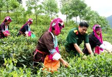 Kết hợp phát triển kinh tế – xã hội với củng cố, tăng cường quốc phòng, an ninh ở Sơn La hiện nay: thực trạng và giải pháp