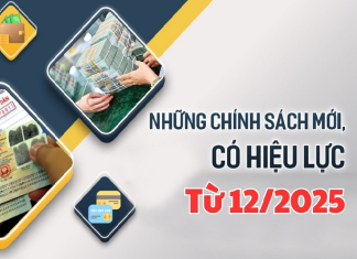 Chính sách mới có hiệu lực từ tháng 12/2025