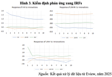 Phân tích mối quan hệ giữa khối lượng giao dịch HOSE, VN-INDEX và chỉ số biến động VIX đối với thị trường chứng khoán Việt Nam