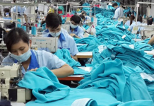 Đánh giá chính sách đào tạo và chất lượng nguồn nhân lực ngành May mặc của thành phố Cần Thơ