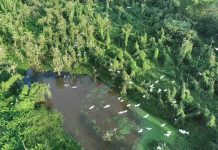 Nghiên cứu mức độ cảm nhận của du khách về sản phẩm du lịch sinh thái nông nghiệp tại một số xã, tỉnh Đồng Tháp