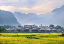 Xây dựng bộ tiêu chí, tiêu chuẩn chất lượng, định mức kinh tế – kỹ thuật trong cung cấp dịch vụ hỗ trợ khách du lịch: thực tiễn tại tỉnh Phú Thọ