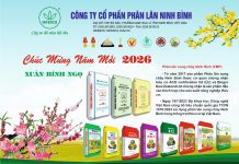 Công ty Cổ phần phân lân Ninh Bình