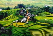 Những thành tựu nổi bật từ sự lãnh đạo của Đảng phát triển kinh tế vùng Trung du và miền núi Bắc bộ giai đoạn 2004 – 2020