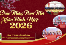 Công ty Than Uông Bí TKV