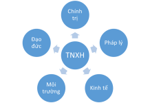 Trách nhiệm xã hội của các lưu trữ lịch sử ở Việt Nam: Tiếp cận từ khung lý thuyết trách nhiệm xã hội của doanh nghiệp