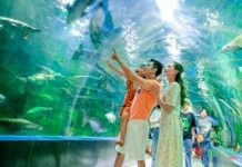 Những tác động của mặt trái kinh tế thị trường đến chức năng gia đình Việt Nam