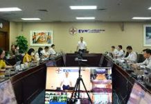 Chính sách phát triển chuyển đổi số trong hoạt động quản trị văn phòng tại Tập đoàn Điện lực Việt Nam