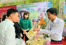 Phát huy vai trò của doanh nghiệp tư nhân trong chuỗi giá trị hàng hóa nông sản xuất khẩu ở Việt Nam