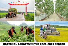 Quản lý nhà nước về kinh tế xanh trong kỷ nguyên mới: cơ hội và thách thức của Việt Nam