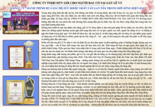 Công ty TNHH MTV gối cho người đau cổ vai gáy Lê Vy