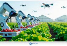 Ứng dụng trí tuệ nhân tạo (AI) trong sản xuất nông nghiệp ở Việt Nam