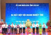 Giải pháp nâng cao trách nhiệm xã hội của doanh nghiệp FDI ở Lào Cai hiện nay