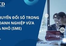 Chuyển đổi số trong quản lý thuế đối với các doanh nghiệp nhỏ và vừa ở Việt Nam