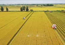 Một số giải pháp đẩy mạnh chuyển đổi số với phát triển lực lượng sản xuất mới trong nông nghiệp ở thành phố Hải Phòng hiện nay